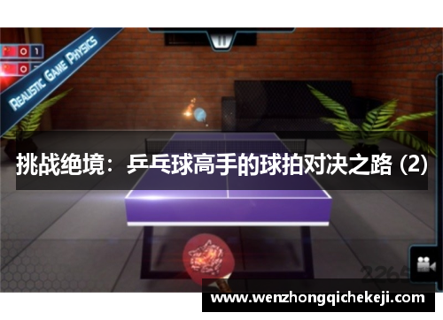 挑战绝境：乒乓球高手的球拍对决之路 (2)
