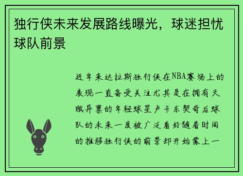 独行侠未来发展路线曝光，球迷担忧球队前景